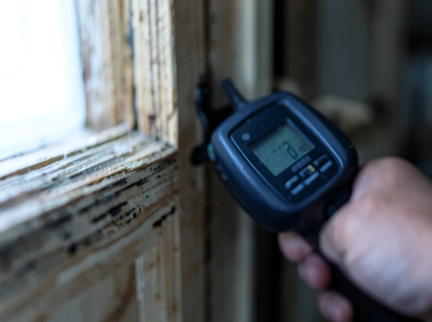 Commercial Water Damage Restoration in Seagraves, TX